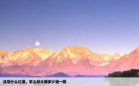 这是什么红酒怎么样大概多少钱一瓶
