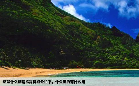 这是什么酒请给我详细介绍下什么类的有什么用