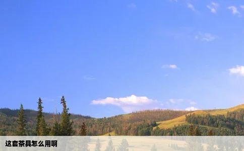 这套茶具怎么用啊