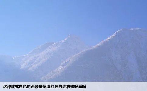 这种款式白色的西装搭配酒红色的连衣裙好看吗