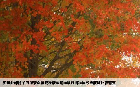 知道那种牌子的绿茶面膜或绿茶睡眠面膜对消痘痘改善肤质比较有效