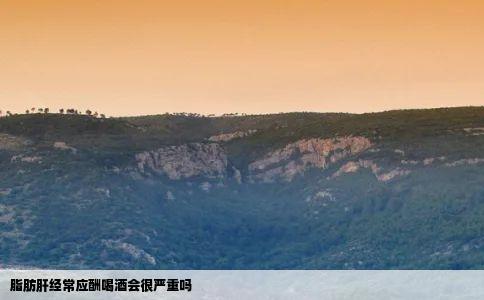 脂肪肝经常应酬喝酒会很严重吗