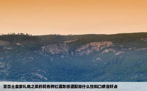 芝华士皇家礼炮之类的和各种红酒怎样调配加什么饮料口感会好点