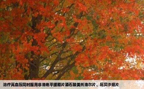 治疗高血压同时服用非洛地平缓释片酒石酸美托洛尔片、厄贝沙坦片