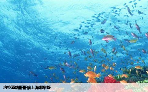 治疗酒精肝肝病上海哪家好