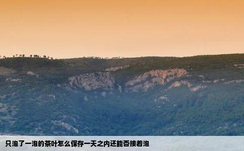只泡了一泡的茶叶怎么保存一天之内还能否接着泡