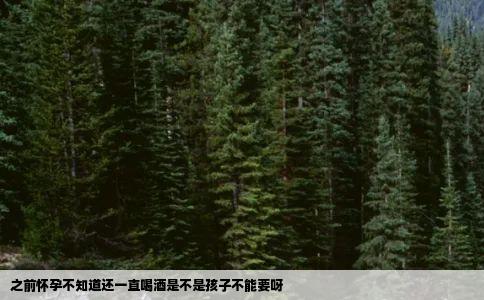 之前怀孕不知道还一直喝酒是不是孩子不能要呀