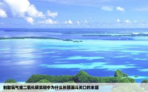 制取氢气或二氧化碳实验中为什么长颈漏斗关口的末端