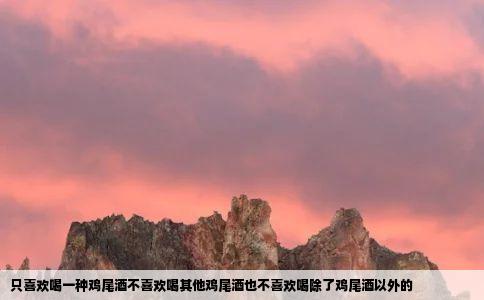 只喜欢喝一种鸡尾酒不喜欢喝其他鸡尾酒也不喜欢喝除了鸡尾酒以外的