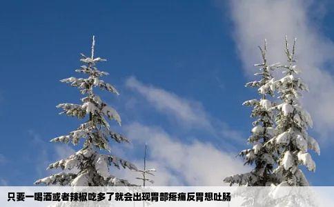 只要一喝酒或者辣椒吃多了就会出现胃部疼痛反胃想吐肠