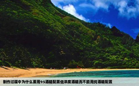 制作过程中为什么要用95酒精配置低浓度酒精而不能用纯酒精配置