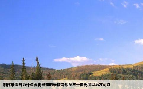 制作米酒时为什么要将煮熟的米饭冷却至三十摄氏度以后才可以