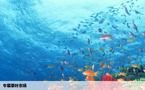 中国茶叶市场