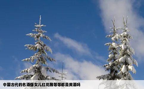 中国古代的名酒像女儿红花雕等等都是黄酒吗