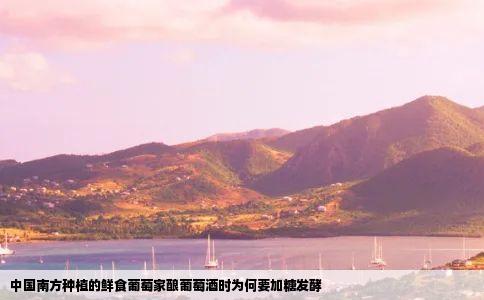 中国南方种植的鲜食葡萄家酿葡萄酒时为何要加糖发酵