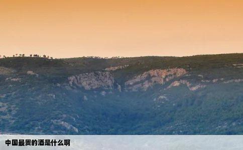 中国最贵的酒是什么啊