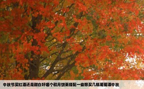中秋节买红酒还是甜白好哪个和月饼更搭配一些想买几瓶葡萄酒中秋