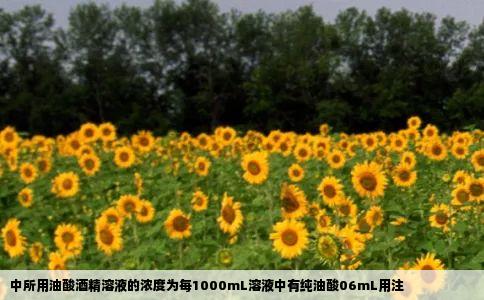 中所用油酸酒精溶液的浓度为每1000mL溶液中有纯油酸06mL用注