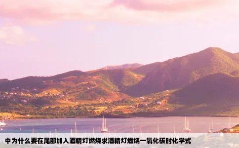 中为什么要在尾部加入酒精灯燃烧求酒精灯燃烧一氧化碳时化学式