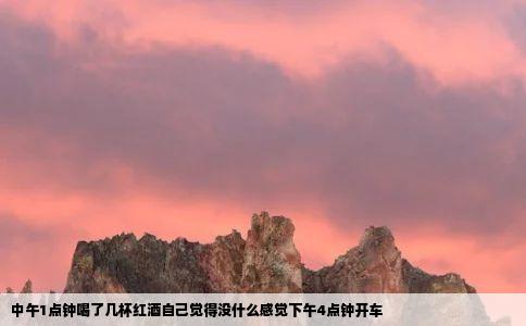 中午1点钟喝了几杯红酒自己觉得没什么感觉下午4点钟开车