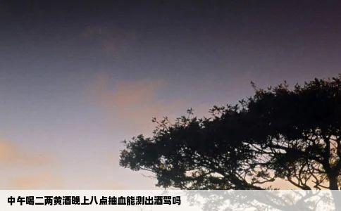 中午喝二两黄酒晚上八点抽血能测出酒驾吗