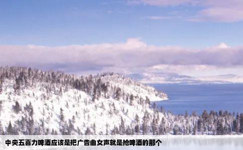 中央五喜力啤酒应该是把广告曲女声就是抢啤酒的那个