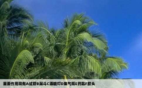 重要作用现有A试管B漏斗C酒精灯D集气瓶E药匙F胶头