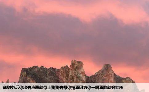 转财务后你出去应酬就带上我我去帮你抵酒因为你一喝酒脸就会红所