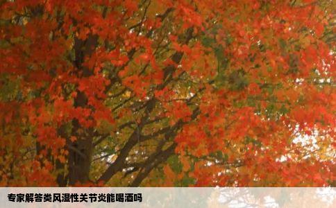 专家解答类风湿性关节炎能喝酒吗