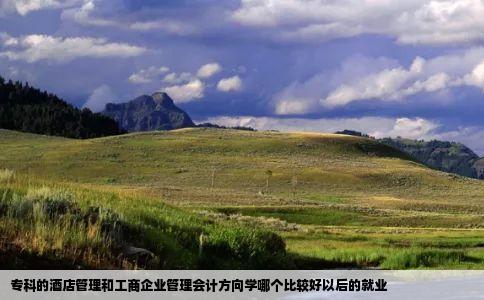 专科的酒店管理和工商企业管理会计方向学哪个比较好以后的就业