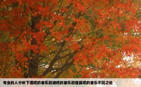专业的人分析下酒吧的音乐和迪吧的音乐和慢摇吧的音乐不同之处