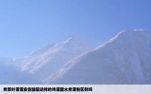 煮茶叶蛋蛋皮你敲裂这样的鸡蛋跟水煮蛋有区别吗