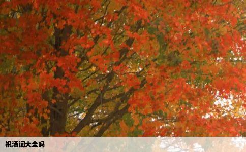 祝酒词大全吗