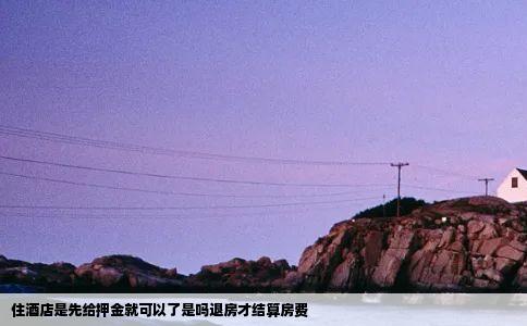 住酒店是先给押金就可以了是吗退房才结算房费