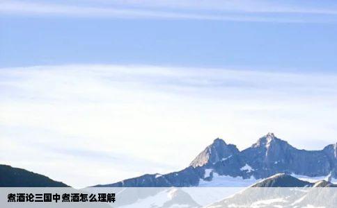 煮酒论三国中煮酒怎么理解