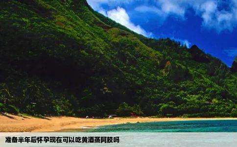 准备半年后怀孕现在可以吃黄酒蒸阿胶吗