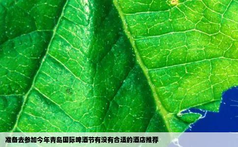 准备去参加今年青岛国际啤酒节有没有合适的酒店推荐