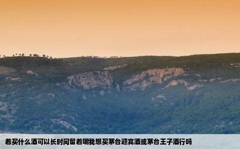 着买什么酒可以长时间留着呢我想买茅台迎宾酒或茅台王子酒行吗