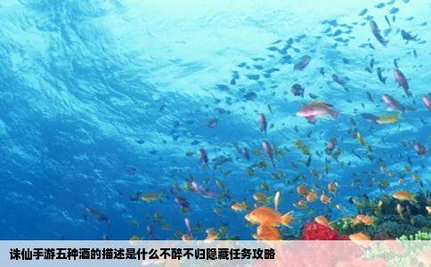 诛仙手游五种酒的描述是什么不醉不归隐藏任务攻略