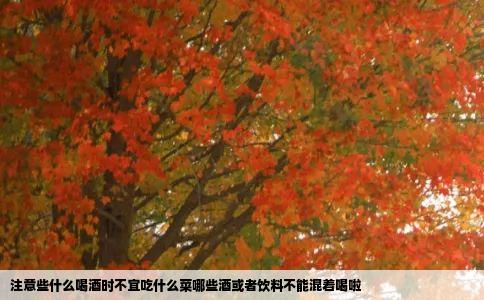 注意些什么喝酒时不宜吃什么菜哪些酒或者饮料不能混着喝啦