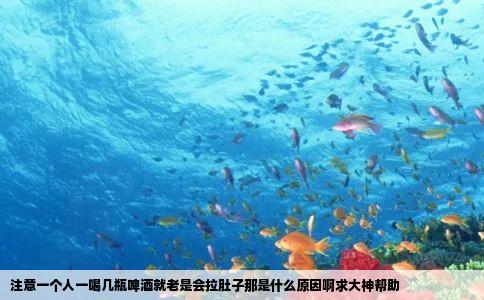 注意一个人一喝几瓶啤酒就老是会拉肚子那是什么原因啊求大神帮助