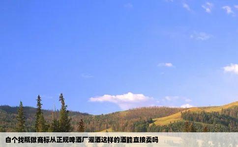 自个找瓶做商标从正规啤酒厂灌酒这样的酒能直接卖吗