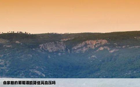 自家粮的葡萄酒能降低高血压吗