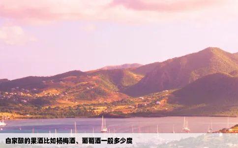 自家酿的果酒比如杨梅酒葡萄酒一般多少度