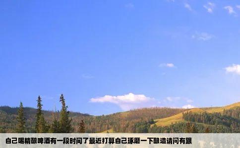 自己喝精酿啤酒有一段时间了最近打算自己琢磨一下酿造请问有跟