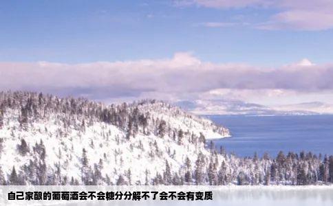 自己家酿的葡萄酒会不会糖分分解不了会不会有变质