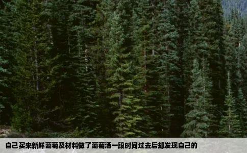 自己买来新鲜葡萄及材料做了葡萄酒一段时间过去后却发现自己的