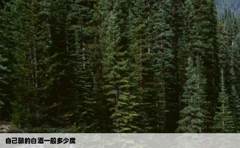 自己酿的白酒一般多少度