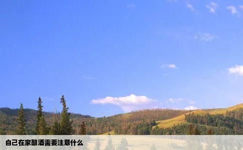 自己在家酿酒需要注意什么