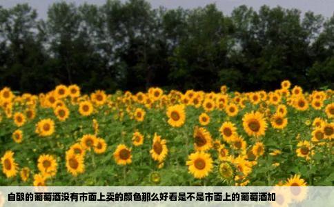 自酿的葡萄酒没有市面上卖的颜色那么好看是不是市面上的葡萄酒加